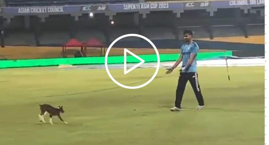 [Watch] Throwback to 'Cute Moment' When Shreyas Iyer was Seeing Playing With Adorable Puppy